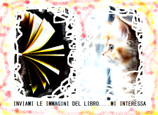 Fotografia nera lucarelli usato  Italia