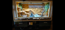 Terrarium holzterrarium 120x60 gebraucht kaufen  Düsseldorf