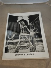 1980's Circus Press Photo 8x10 Oryginalna Brunon Blaszak Tygrysy Flaming Hoop na sprzedaż  Wysyłka do Poland