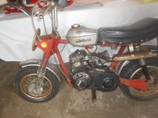 Rupp minibike 1970 for sale  Mount Morris