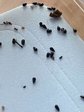 Mystery box con usato  Italia