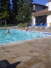 Timeshare rental hilton for sale  Wayne