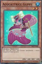 Carta acquattrice guppy usato  Villar Focchiardo