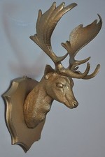 Tête cerf trophée d'occasion  Châtelaillon-Plage