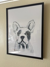 english frenchies for sale english frenchies for sale Marina Del Rey