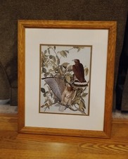 wall bird print art for sale wall bird print art for sale Hill City
