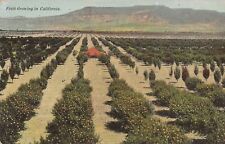 AGRICULTURA - Fruticultura na CALIFÓRNIA comprar usado  Enviando para Brazil