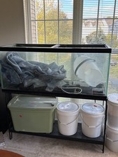 Gallon breeder tank for sale  Ashburn