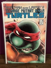 Teenage mutant ninja usato  Spedire a Italy