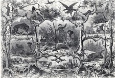 Usado, Memories of a Rabbit Hare Death, grande gravura antiga da década de 1870 impressão e artigo comprar usado  Enviando para Brazil