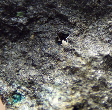Ktenasite phosgenite gannel for sale  BLACKPOOL