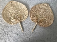 Etsy palm leaf for sale Etsy palm leaf for sale  NORTHAMPTON