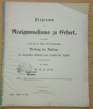 Jahresbericht realgymnasium er gebraucht kaufen  Friedrichsthal