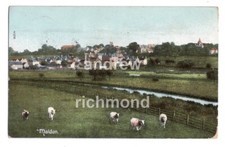 Maldon essex published for sale  ABERYSTWYTH