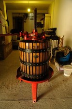 Torchio vino 128lt usato Torchio vino 128lt usato  San Mauro Forte