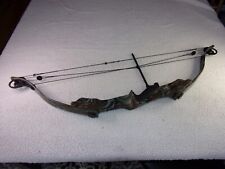 Golden eagle hawk for sale  Davison