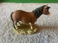 Sherratt simpson horses for sale  CARNOUSTIE