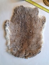 Peau lapin d'occasion  Mont-Saint-Aignan