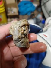 Mummified petrified head for sale  Jonesboro