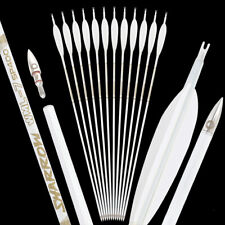 Pure carbon arrow d'occasion  Expédié en Belgium