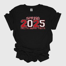 Spring 2025 delta for sale  Washington
