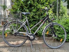 Damen fahrrad pegasus gebraucht kaufen  Kassel