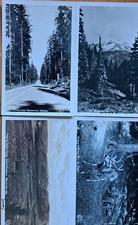 Lot state washington for sale  Tyler