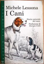 Lessona cani storia usato  Roma
