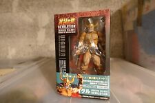 Kaiyodo revoltech hokuto usato  Italia
