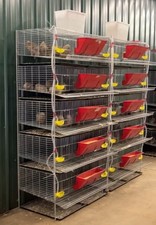 Tof complete coturnix d'occasion  Expédié en Belgium