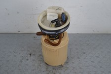 77598 pompa carburante usato  Roma