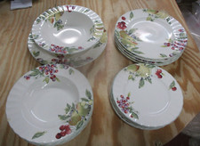 Mikasa Nature's Scenery Pratos Louça Design de Frutas DN010 14 peças Pratos/tigelas comprar usado  Enviando para Brazil