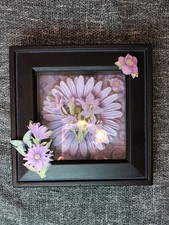 Shadow boxes hanging for sale  Waterford