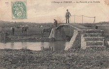 Elevage perche domaine d'occasion  Expédié en Belgium