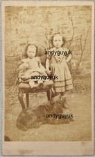 Cdv flat coated for sale  CHESTERFIELD