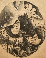 Original antique butterflies for sale  UK