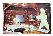 Vintage taxidermy postcard for sale  Wallingford