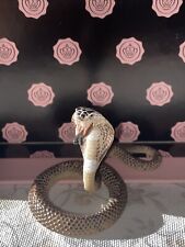 Schleich kobra 14733 gebraucht kaufen  Leutesdorf