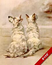 WEST HIGHLAND WHITE TERRIER CÃES CACHORRO DE ESTIMAÇÃO CACHORRO ARTE PINTURA IMPRESSÃO EM TELA REAL comprar usado  Enviando para Brazil