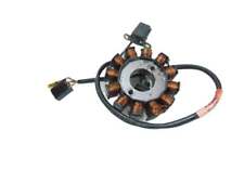 Alternatore statore kymco usato  Italia