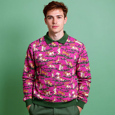 jack russell russel usato jack russell russel usato  Montegrotto Terme