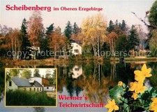 Scheibenberg wiesners teichwir gebraucht kaufen  Deutschland