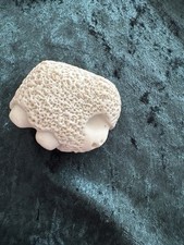 miniature sheep for sale miniature sheep for sale LINGFIELD
