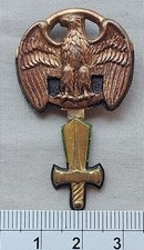 Distintivo dorato fascista usato  Torino
