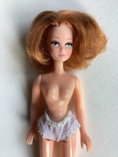 1970s palitoy pippa for sale  BURY ST. EDMUNDS