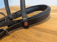albion bridle for sale  SWINDON