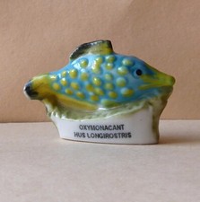 poisson marin re d'occasion poisson marin re d'occasion Expédié en Belgium