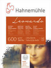 Hahnemühle echt bütten gebraucht kaufen  Cottbus