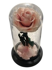 Pink eternal rose for sale  Las Vegas