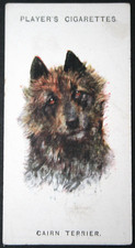 Cairn terrier vintage for sale  DERBY